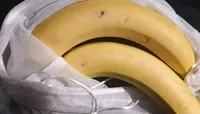 Bananen / Bananes