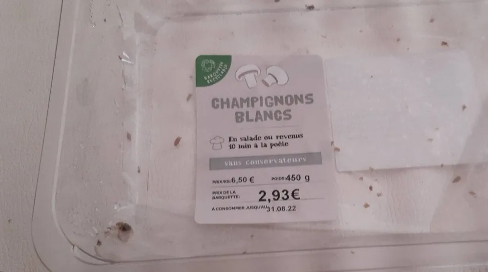 Champignons blancs