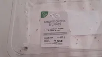 Champignons blancs