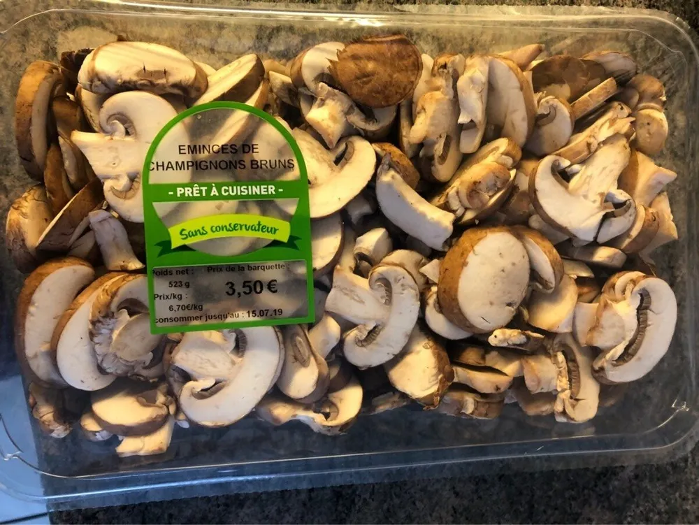 Eminces champignons bruns