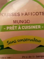 Pousse haricots Mungo