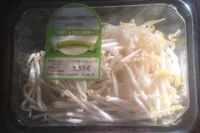 Pousse de haricots Mungo