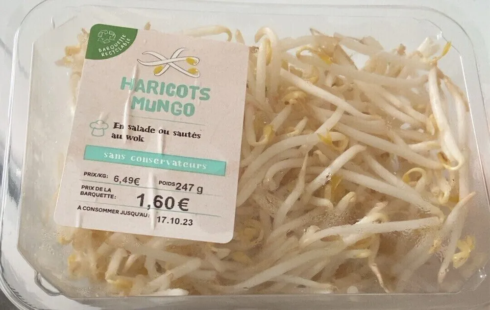 Haricot mungo