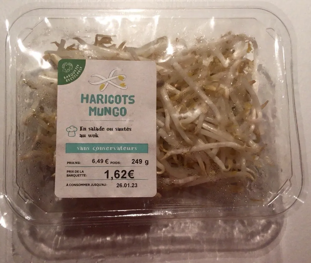 haricot mungo