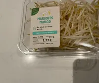 Pousse de soja