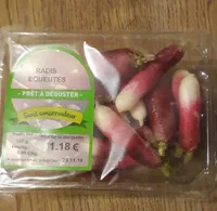 Radis equeutés