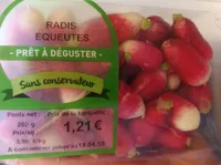 Radis equeutes