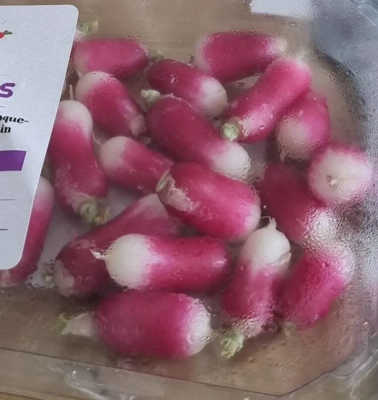 Radis équeutés