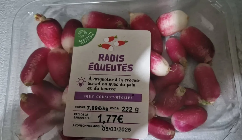 RADIS EQUEUTES