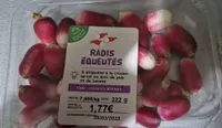 RADIS EQUEUTES
