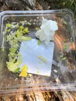 Salade ceasar cuisine et porager