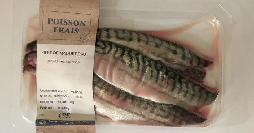 Filet de maquereau
