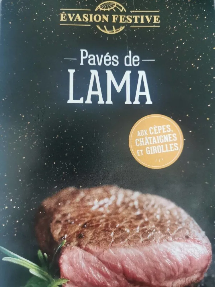 Pavés de lama