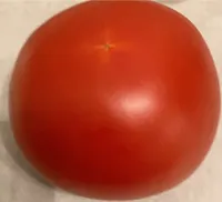 Tomate Ronde