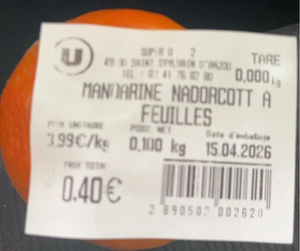 Mandarine Nadorcott