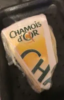 Chamois d'or