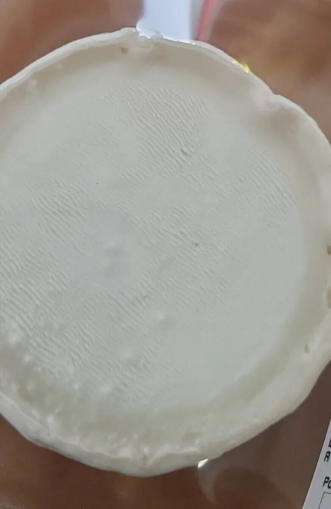 Fromage de chevre
