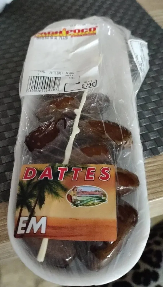 Datteri
