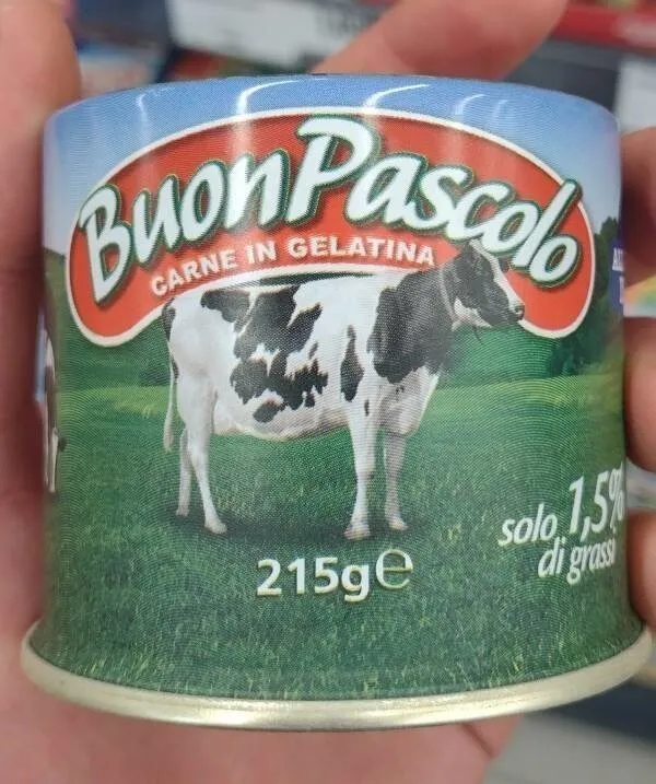 Carne in gelatina