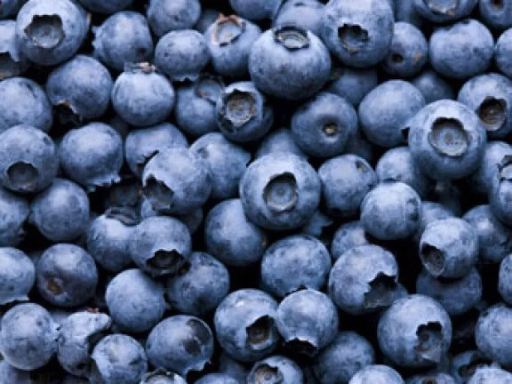Heidelbeeren