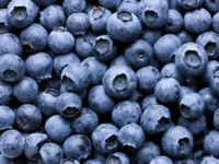 Heidelbeeren