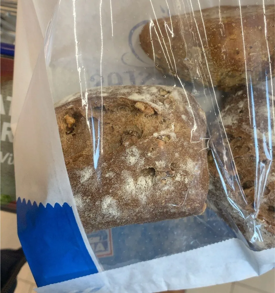 Walnussbrötchen