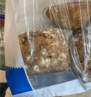 Walnussbrötchen