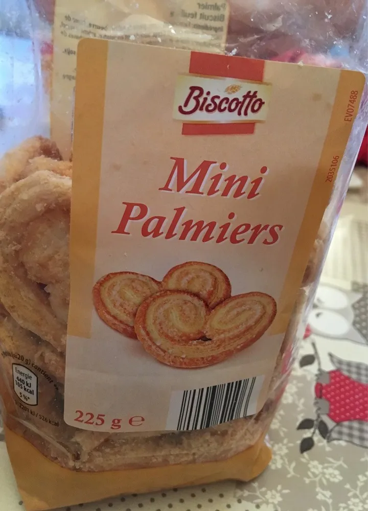 Mini palmier