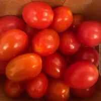 Datteltomaten