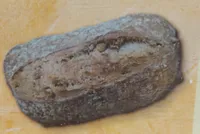 Walnussbrot