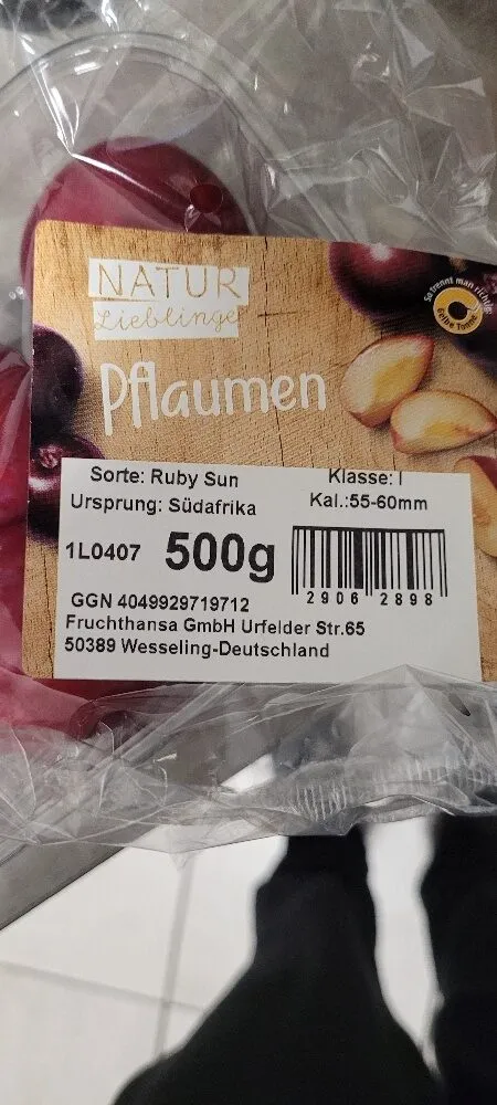 Pflaumen Ruby Sun