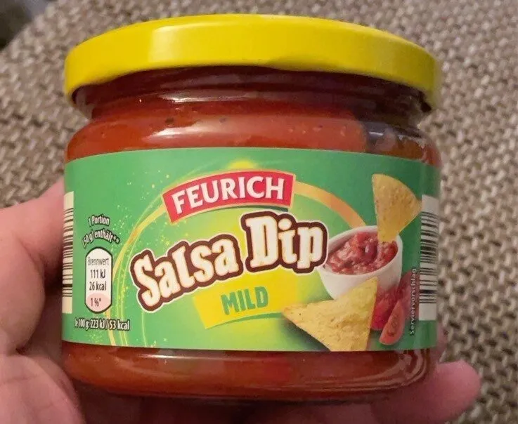 Salsa Dip