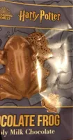 Harry potter chocolate frog