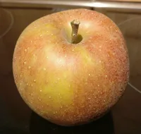 Boskoop Apfel
