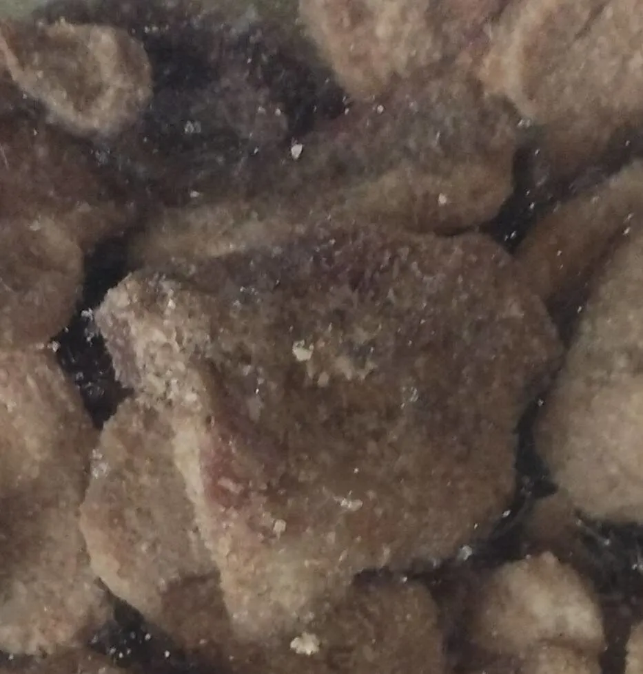 Ciccioli