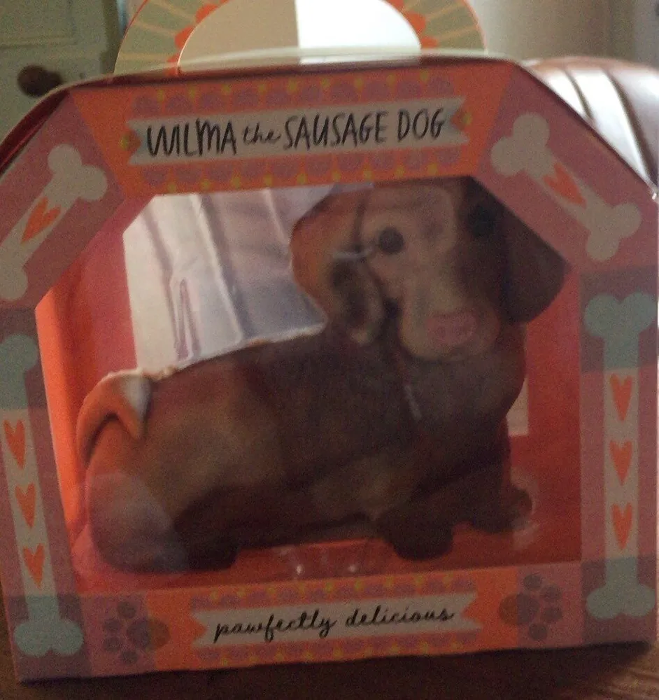 Wilma the sausage dog