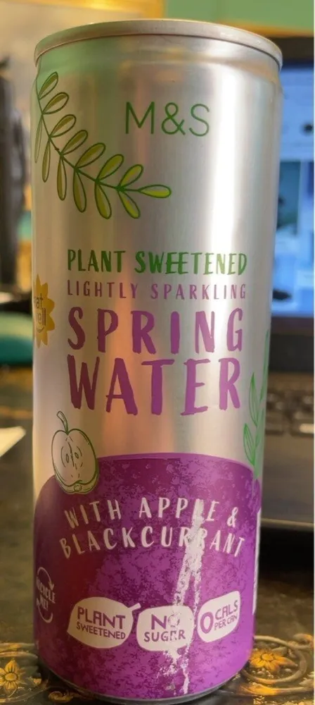 plamt sweetened lightly sparkling water apple and blackcurrant