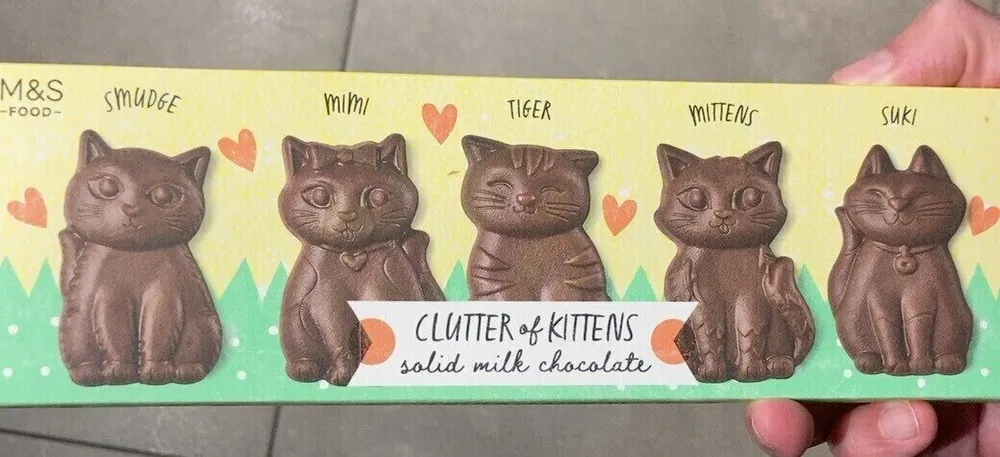 Clutter of kittend