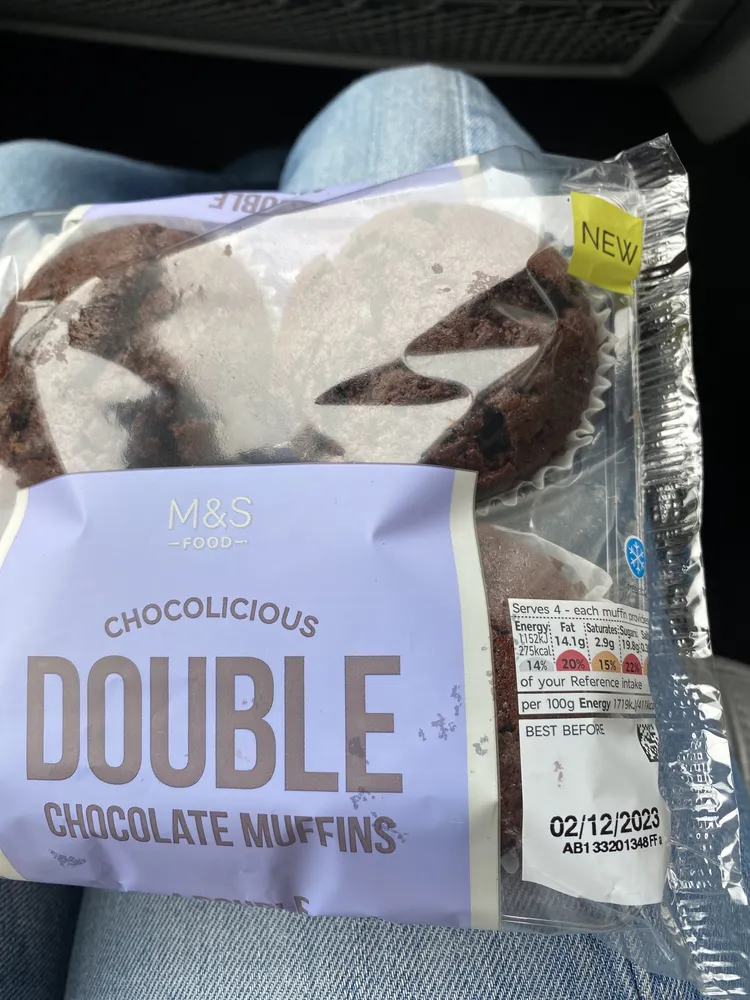 CHOCOLICIOUS DOUBLE CHOCOLATE MUFFINS