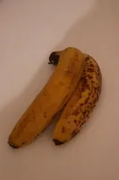 Banane bio