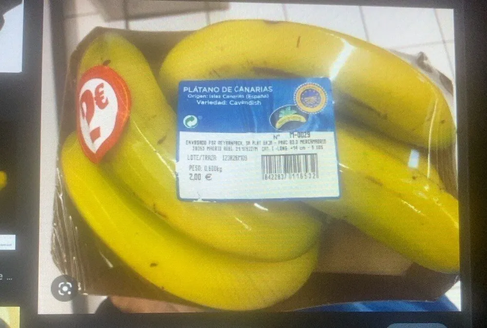Platano de canarias