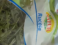 Rucola