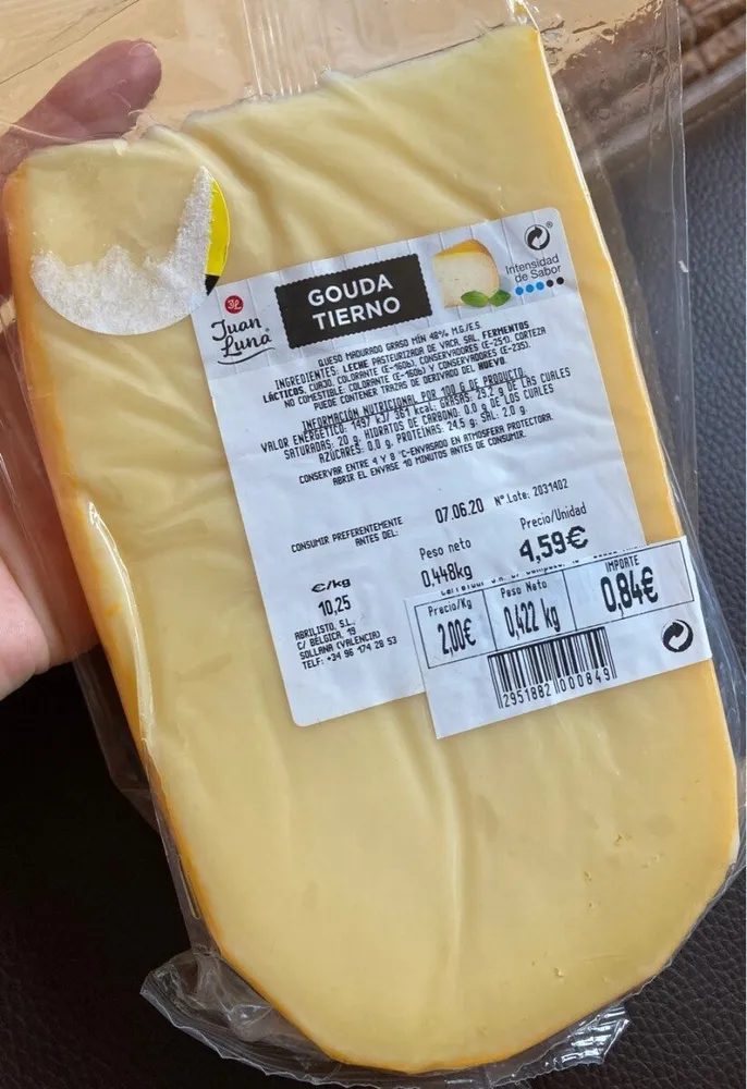 Queso Gouda Tierno