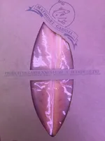 Truite saumonée
