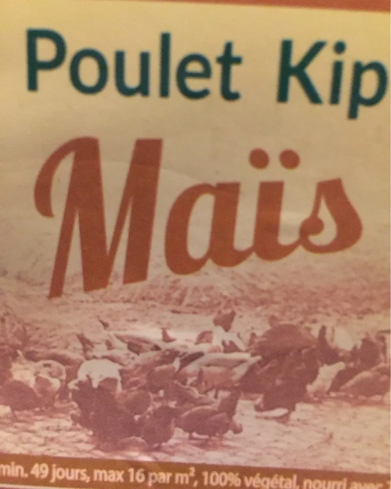 Poulet Kip Maïs