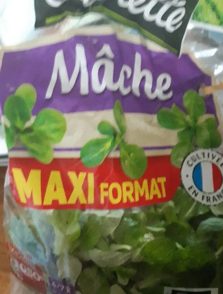 Mâche