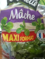Mâche