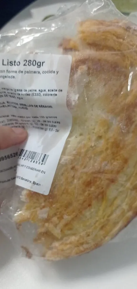 Palmier XL