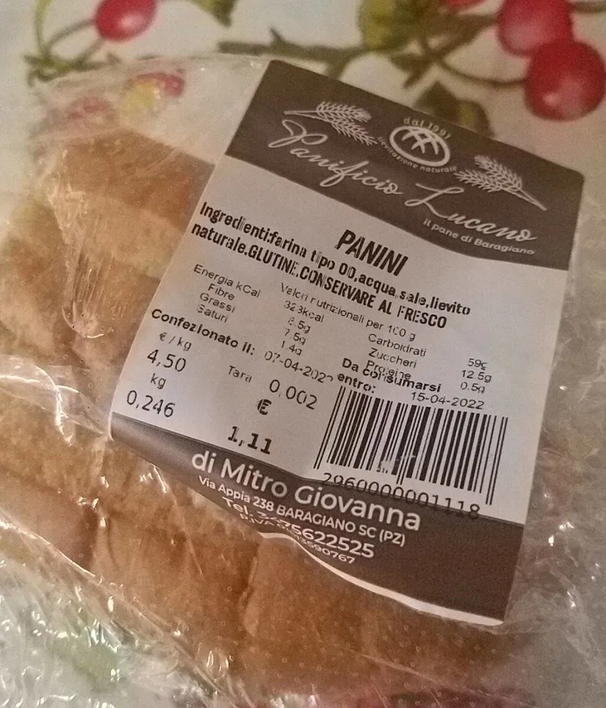 Panini
