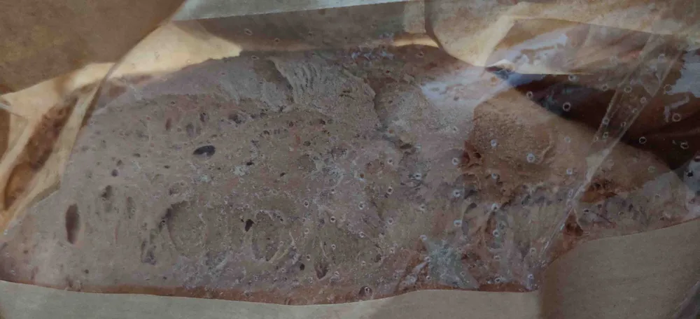 Panino integrale